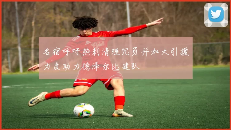 名宿呼吁热刺清理冗员并加大引援力度助力德泽尔比建队