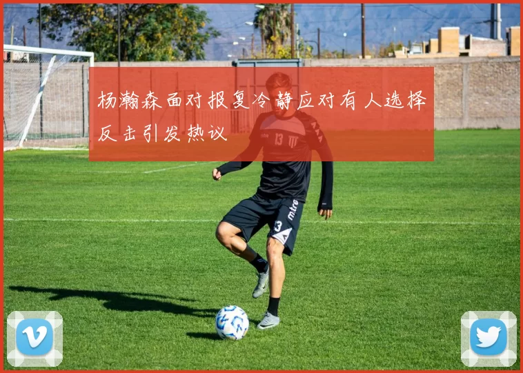 杨瀚森面对报复冷静应对有人选择反击引发热议